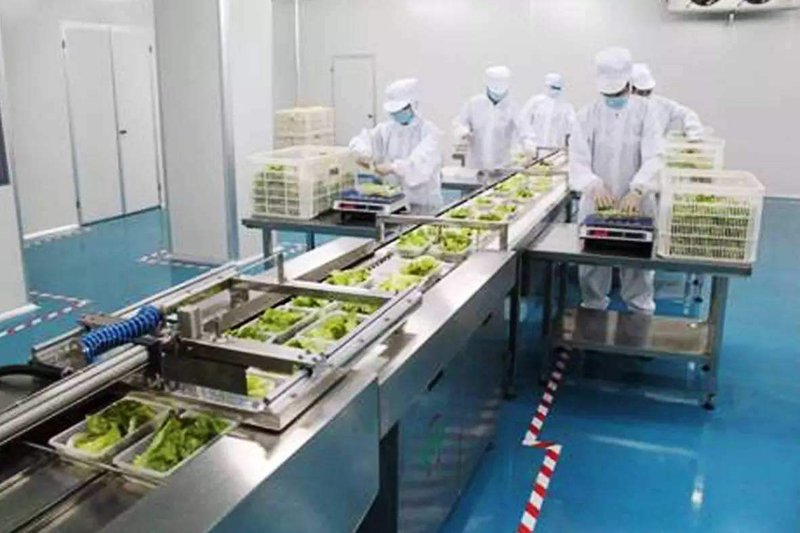 企业员工餐——提升职场幸福感的小确幸